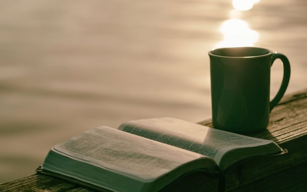Biografie da leggere: consigli di letture che fanno bene