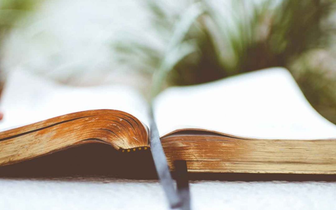 Introduzione, prologo e prefazione: le differenze
